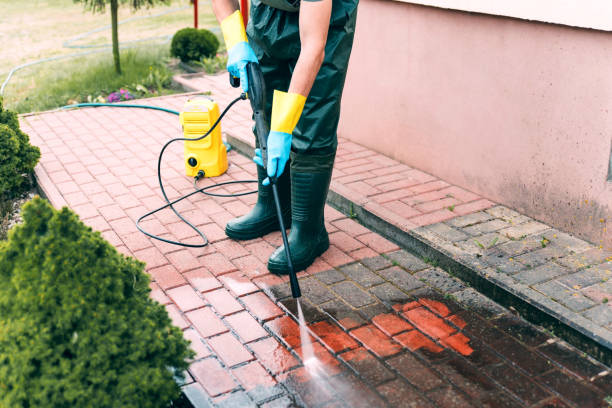 Reliable Mio, MI Pressure Washing Services Solutions